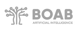 Boab AI — SMEC AI initiative lead